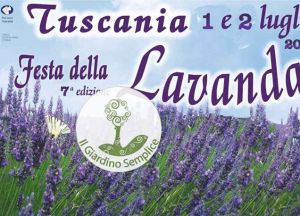 Festa della Lavanda – Tuscania