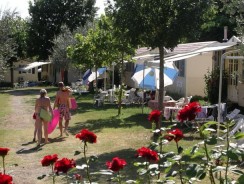 Blu International Camping